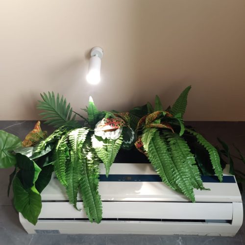 WhatsApp Image 2025-10-28 at 11.43.33 (1)