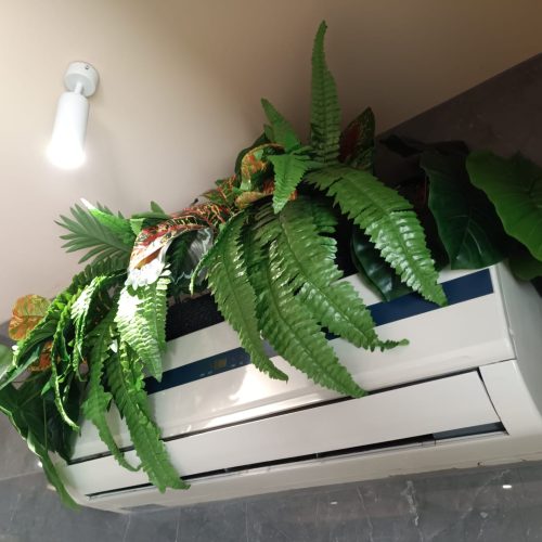 WhatsApp Image 2025-10-28 at 11.43.33 (2)