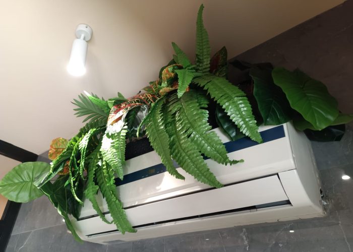 WhatsApp Image 2025-10-28 at 11.43.33 (2)